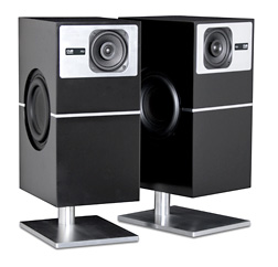 PS1 Speaker System